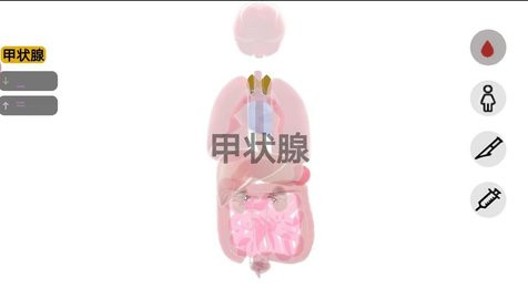人体细胞模拟器