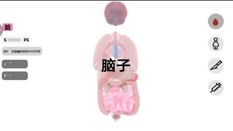 人体细胞模拟器