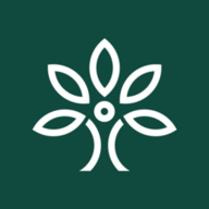 花枝鲜花