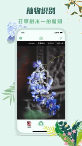 识花君软件下载官方免费