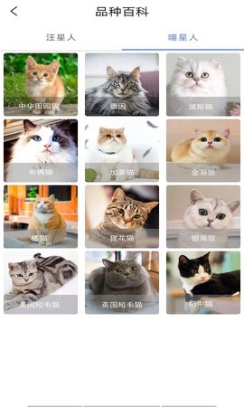 宠物知识全书app
