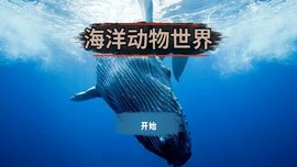 海洋动物世界
