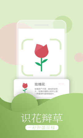扫一扫中草药识别