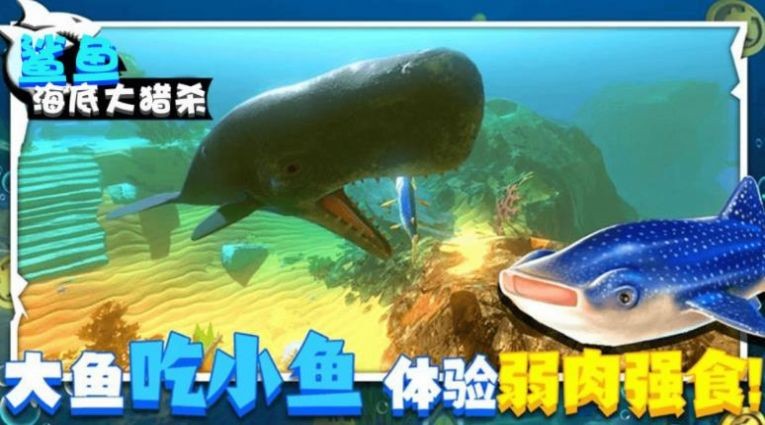 鲨鱼海底大猎杀