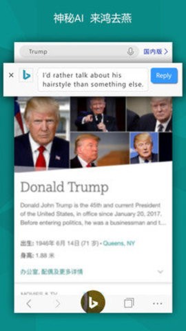 bing搜索国际版