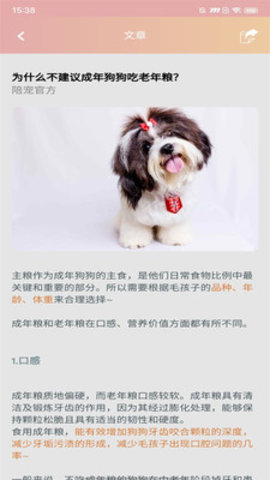 陪宠app