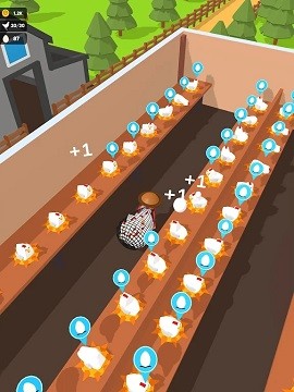 抓住母鸡