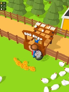 抓住母鸡