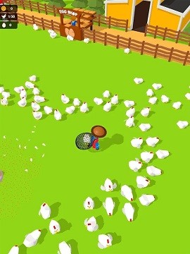 抓住母鸡