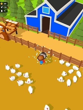 抓住母鸡