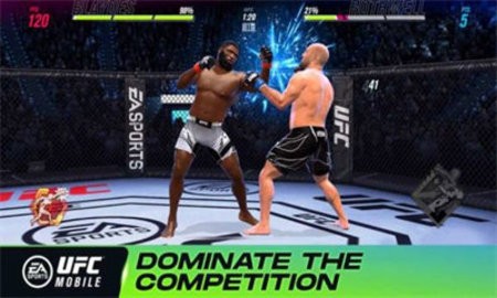 UFC终极格斗