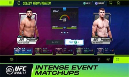 UFC终极格斗