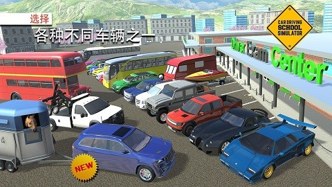 精彩的驾驶比赛