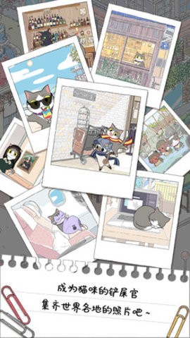 猫友圈：猫咪的旅行