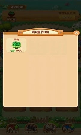 我家小院儿