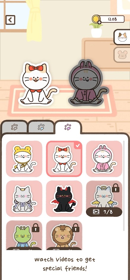 与猫共舞