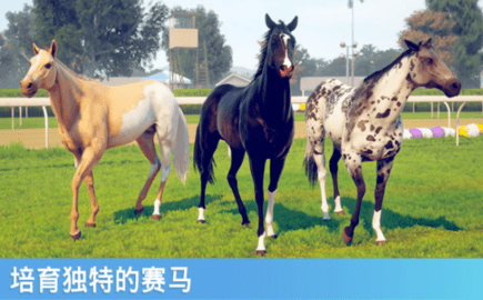rivalstars赛马明星