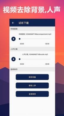 人声分离音频处理