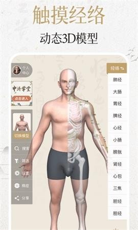 中济经络穴位