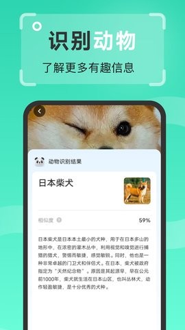 王牌扫描王app
