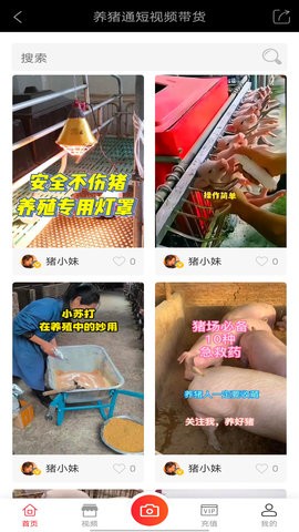 养猪通app