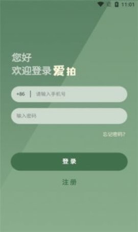 爱拍拍卖app