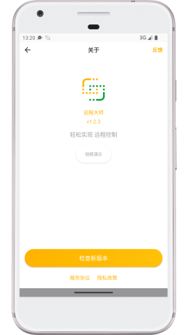 远程大师