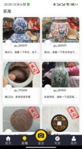 皮皮鉴宝app