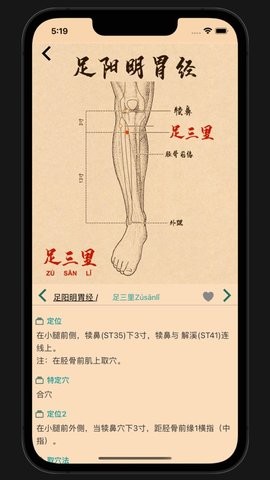 中医穴位app