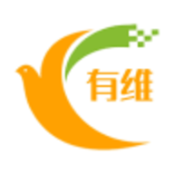有维电商