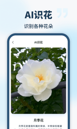 AI智能助手app