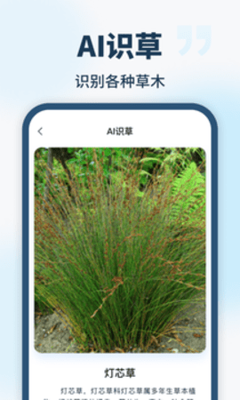 AI智能助手app