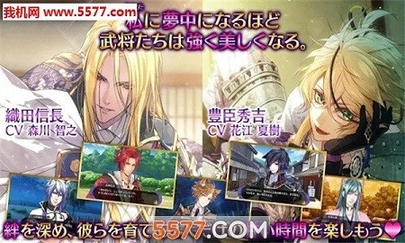 骑士之夜血神官方版