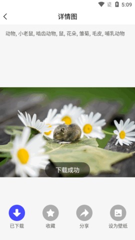 图片素材之家