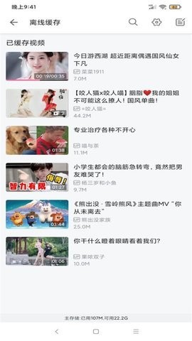 hlb站视频缓存工具